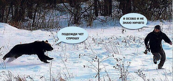 Массфолловинг в Instagram