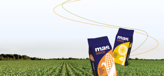 Лендинг для поставщика семян из Франции MAS Seeds