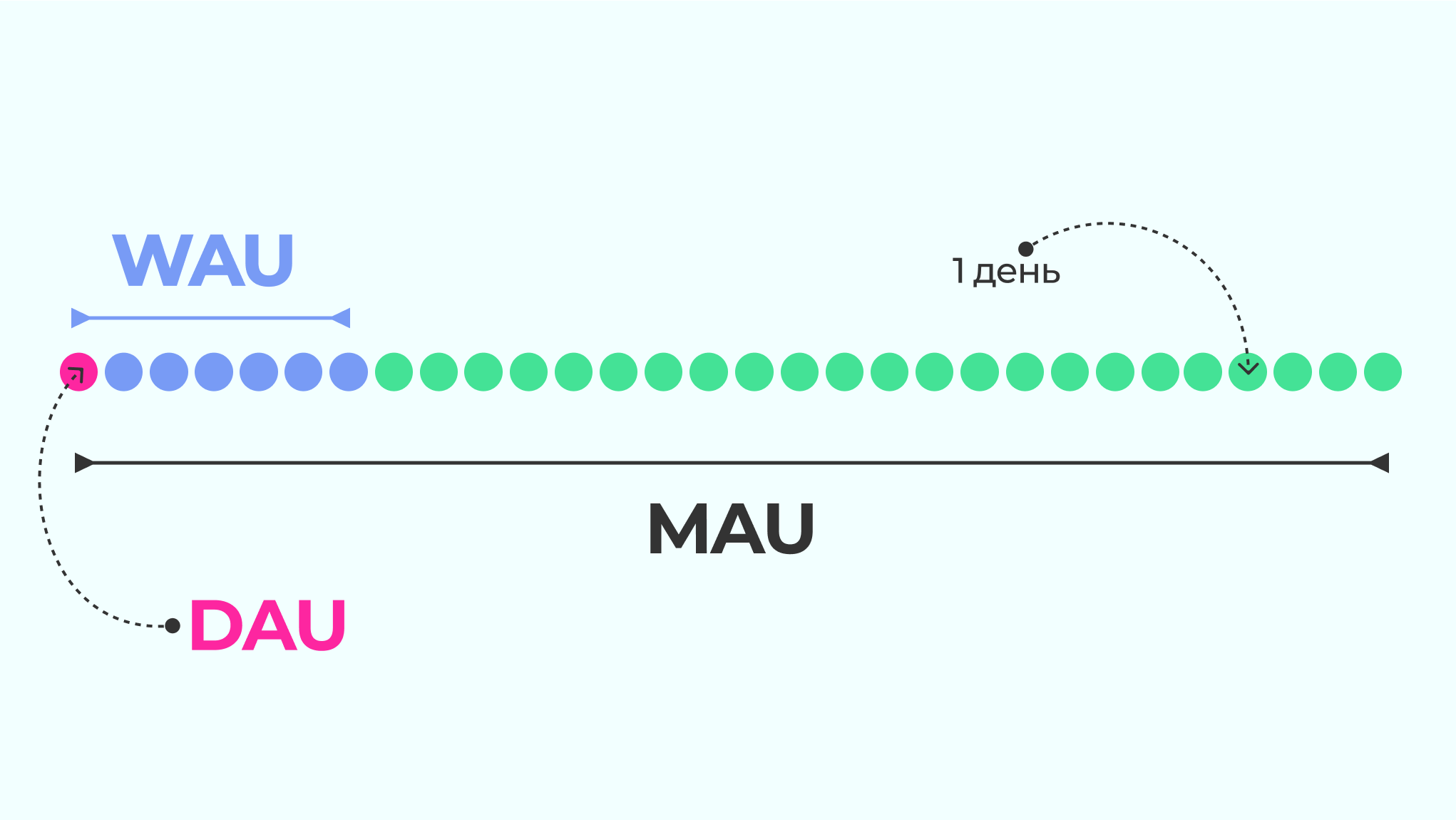 DAU MAU что это